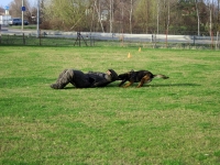 Mann gegen Hund